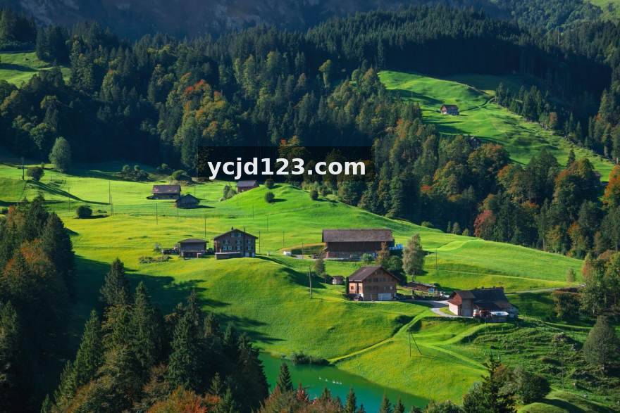 Y3国际 复盘观察：赛季深入阶段球队状态曲线的形成逻辑与追踪方法